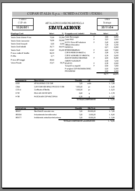 costi 2000 anteprima simulazione